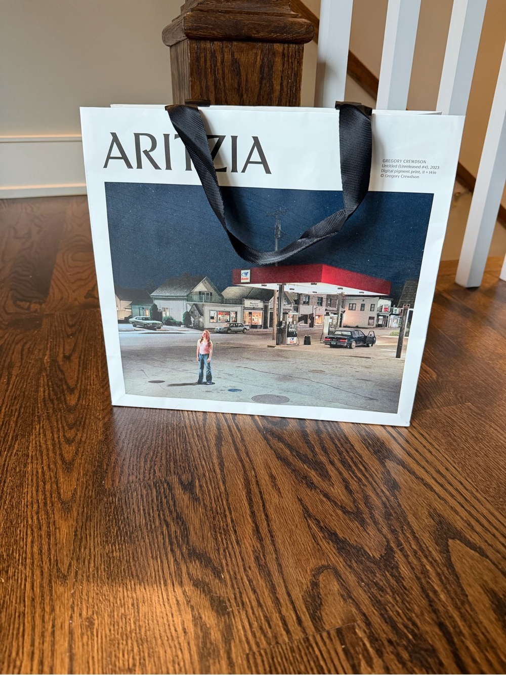 Aritzia White Gift Bag with Navy Scenic Print and Black Ribbon Handles